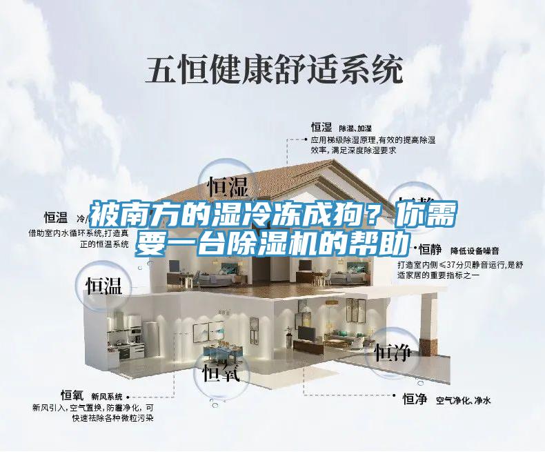 被南方的濕冷凍成狗？你需要一臺除濕機的幫助