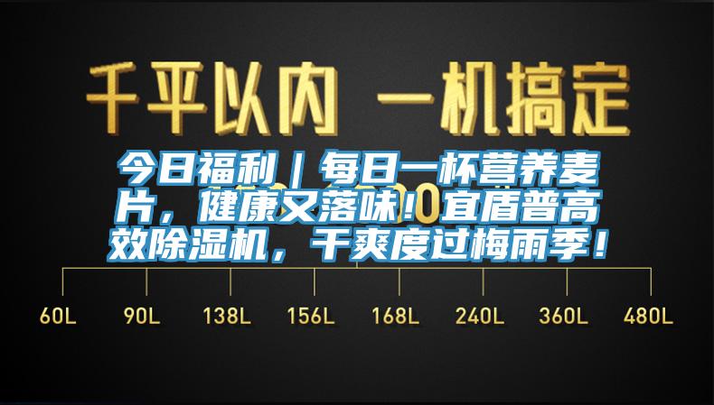 今日福利｜每日一杯營(yíng)養(yǎng)麥片，健康又落味！宜盾普高效除濕機(jī)，干爽度過(guò)梅雨季！