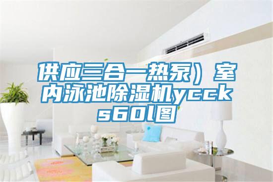 供應(yīng)三合一熱泵）室內(nèi)泳池除濕機(jī)yccks60l圖