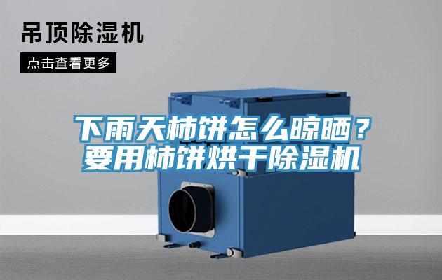 下雨天柿餅怎么晾曬？要用柿餅烘干除濕機(jī)