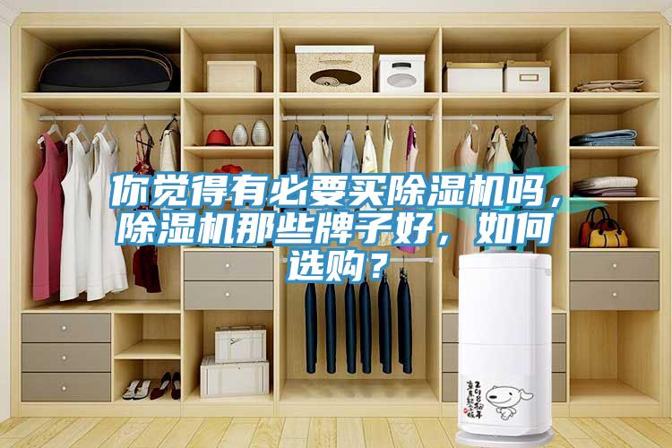 你覺得有必要買除濕機(jī)嗎，除濕機(jī)那些牌子好，如何選購？