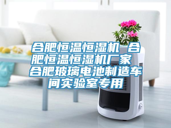 合肥恒溫恒濕機(jī) 合肥恒溫恒濕機(jī)廠家 合肥玻璃電池制造車間實(shí)驗(yàn)室專用