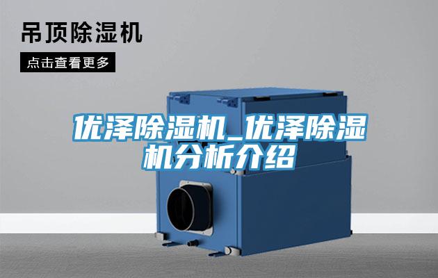 優(yōu)澤除濕機(jī)_優(yōu)澤除濕機(jī)分析介紹