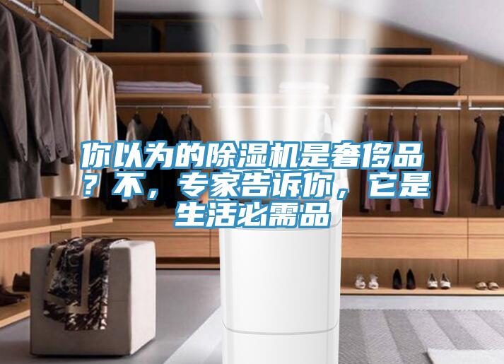 你以為的除濕機(jī)是奢侈品？不，專家告訴你，它是生活必需品