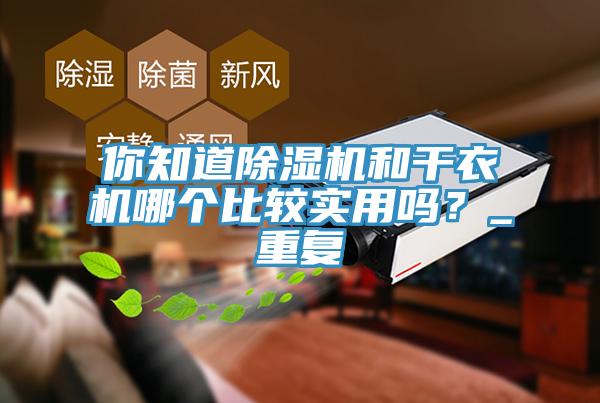 你知道除濕機(jī)和干衣機(jī)哪個(gè)比較實(shí)用嗎？_重復(fù)
