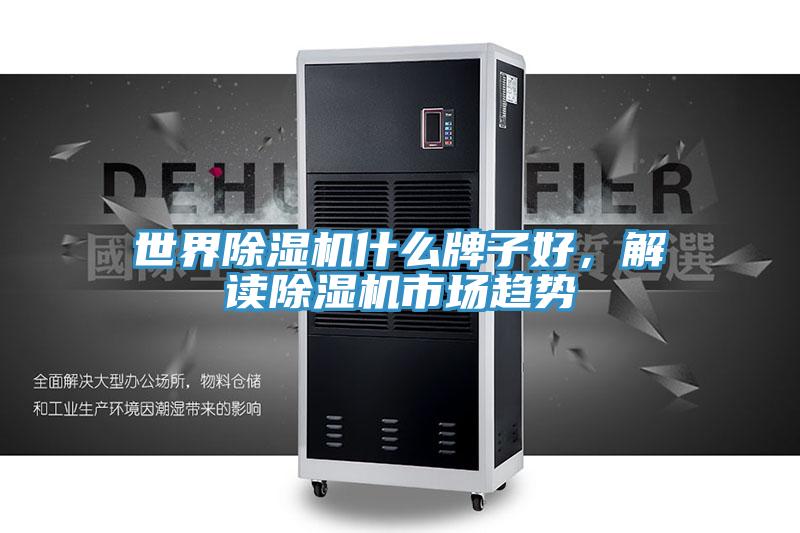 世界除濕機(jī)什么牌子好，解讀除濕機(jī)市場趨勢