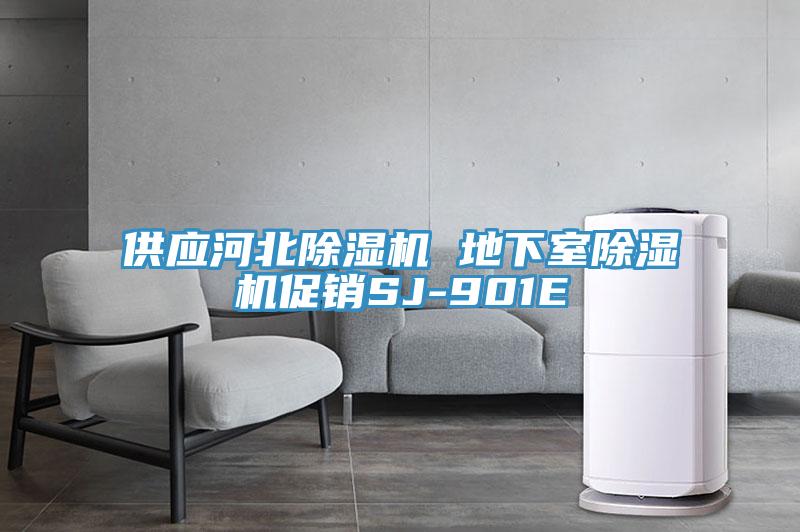 供應(yīng)河北除濕機(jī) 地下室除濕機(jī)促銷SJ-901E