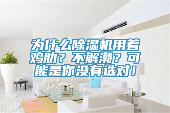 為什么除濕機(jī)用著雞肋？不解潮？可能是你沒(méi)有選對(duì)！