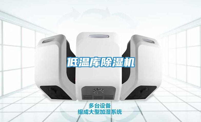 低溫庫除濕機(jī)