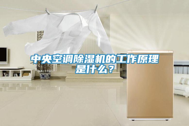 中央空調除濕機的工作原理是什么？