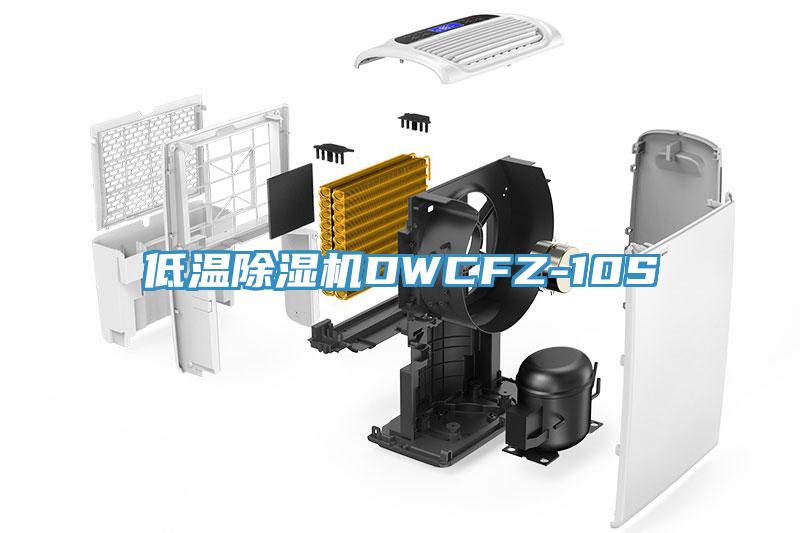 低溫除濕機(jī)DWCFZ-10S