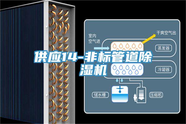 供應(yīng)14-非標(biāo)管道除濕機(jī)