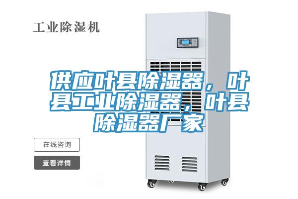 供應(yīng)葉縣除濕器，葉縣工業(yè)除濕器，葉縣除濕器廠家