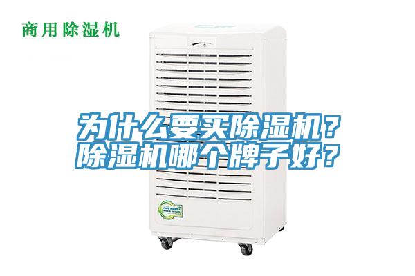 為什么要買除濕機？除濕機哪個牌子好？
