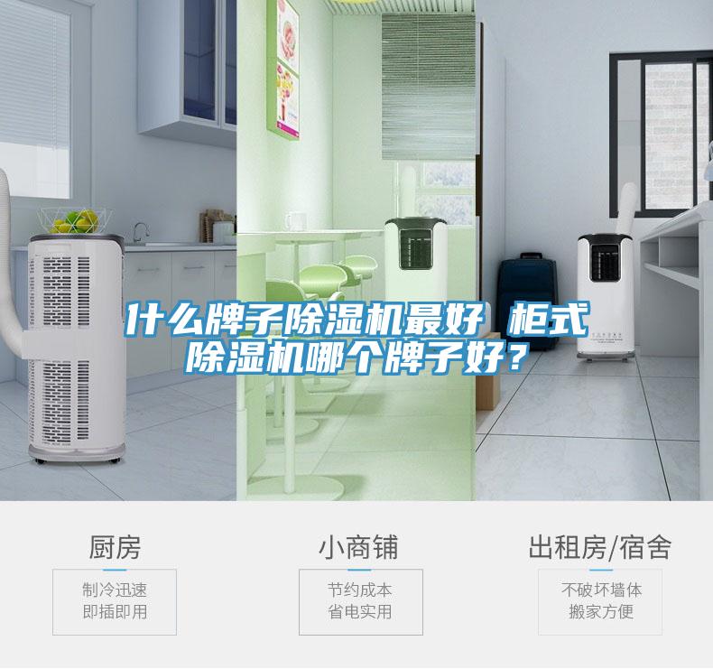 什么牌子除濕機(jī)最好 柜式除濕機(jī)哪個(gè)牌子好？