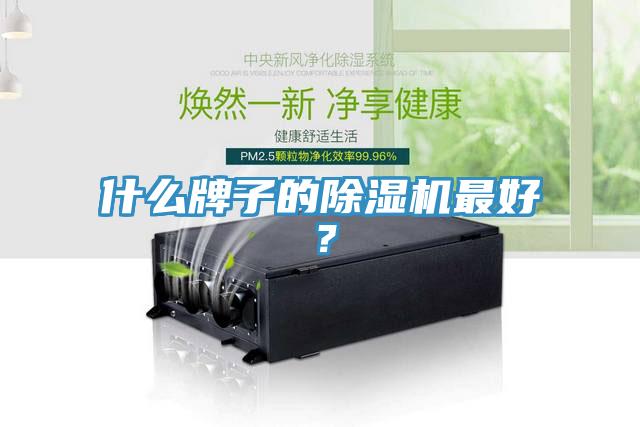 什么牌子的除濕機(jī)最好？