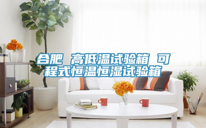合肥 高低溫試驗(yàn)箱 可程式恒溫恒濕試驗(yàn)箱
