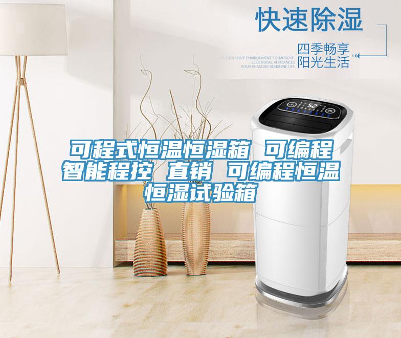 可程式恒溫恒濕箱 可編程智能程控 直銷 可編程恒溫恒濕試驗箱