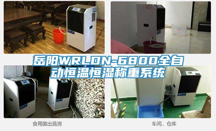 岳陽(yáng)WRLDN-6800全自動(dòng)恒溫恒濕稱(chēng)重系統(tǒng)