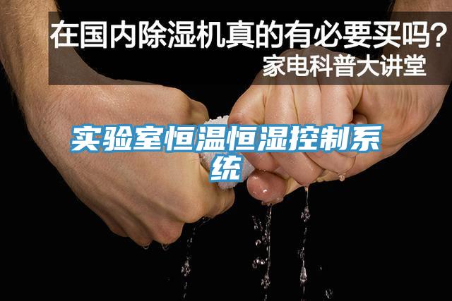 實(shí)驗(yàn)室恒溫恒濕控制系統(tǒng)
