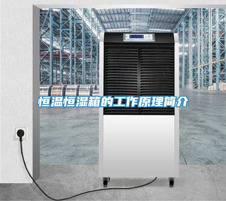 恒溫恒濕箱的工作原理簡(jiǎn)介