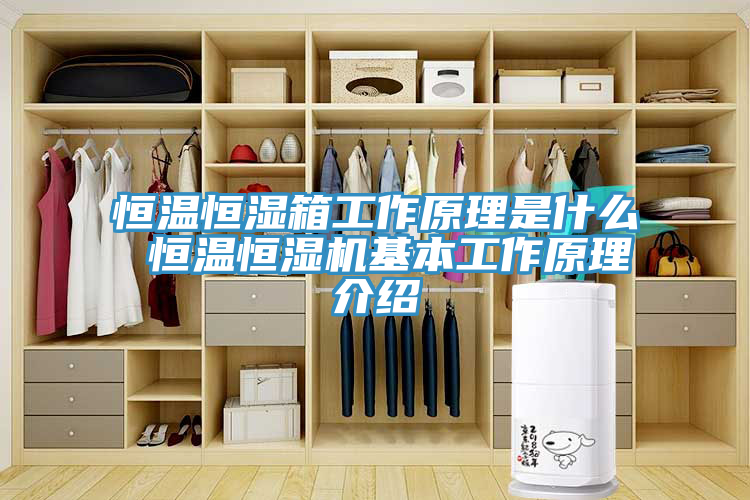 恒溫恒濕箱工作原理是什么 恒溫恒濕機(jī)基本工作原理介紹