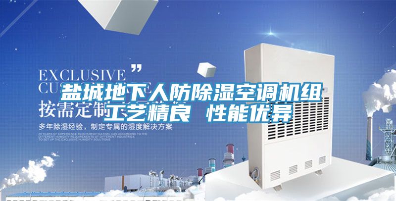 鹽城地下人防除濕空調(diào)機組 工藝精良 性能優(yōu)異
