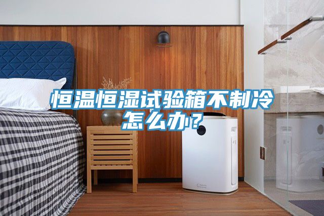 恒溫恒濕試驗箱不制冷怎么辦？
