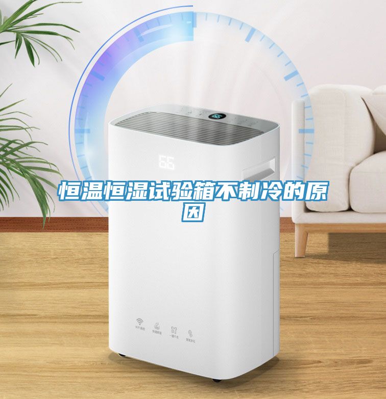 恒溫恒濕試驗箱不制冷的原因