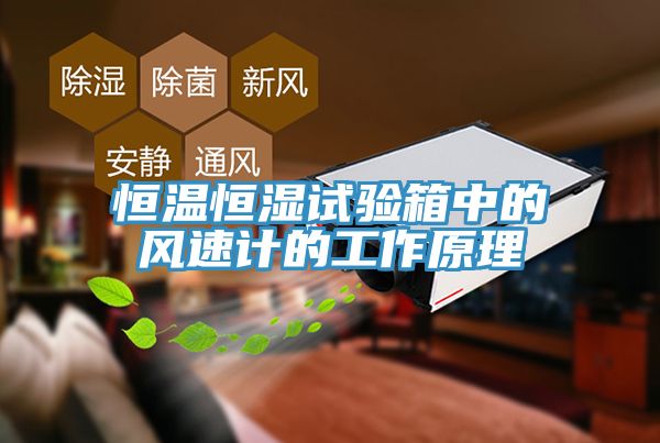 恒溫恒濕試驗(yàn)箱中的風(fēng)速計(jì)的工作原理