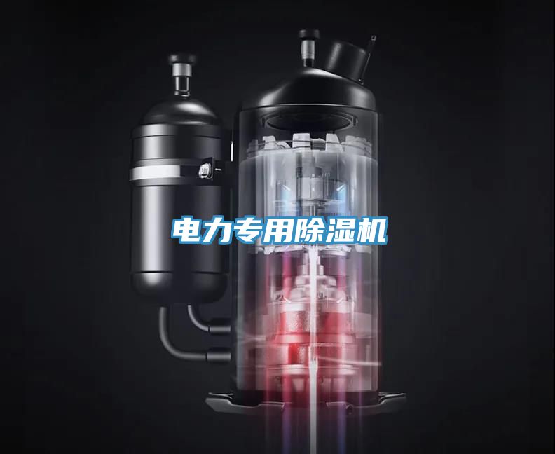 電力專用除濕機(jī)