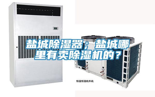 鹽城除濕器；鹽城哪里有賣除濕機(jī)的？