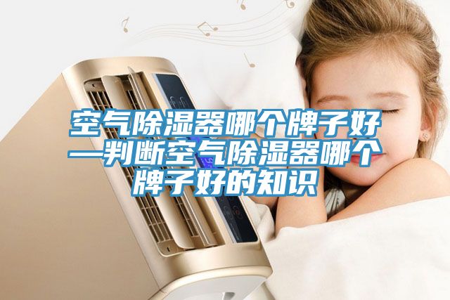 空氣除濕器哪個(gè)牌子好—判斷空氣除濕器哪個(gè)牌子好的知識(shí)