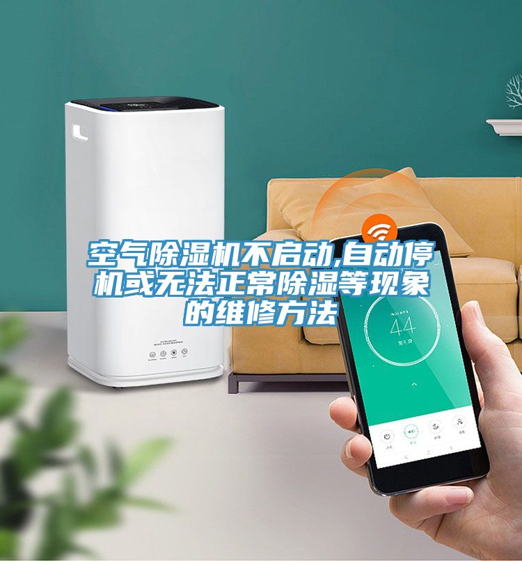 空氣除濕機(jī)不啟動(dòng),自動(dòng)停機(jī)或無(wú)法正常除濕等現(xiàn)象的維修方法