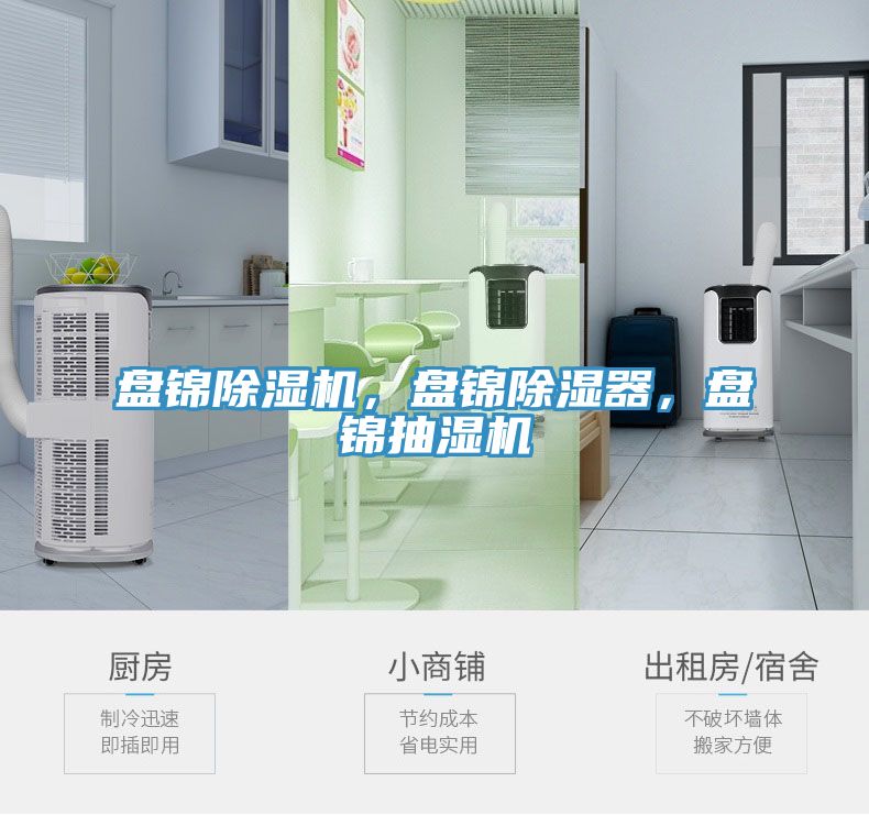 盤錦除濕機(jī)，盤錦除濕器，盤錦抽濕機(jī)