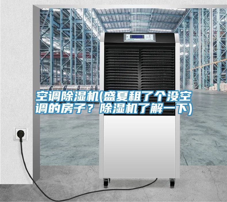 空調(diào)除濕機(jī)(盛夏租了個(gè)沒(méi)空調(diào)的房子？除濕機(jī)了解一下)