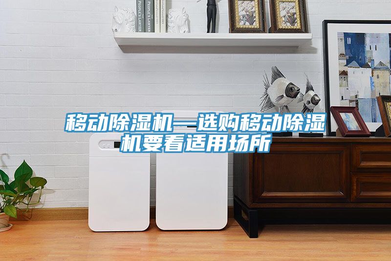 移動(dòng)除濕機(jī)—選購移動(dòng)除濕機(jī)要看適用場(chǎng)所