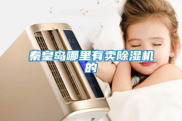 秦皇島哪里有賣除濕機(jī)的