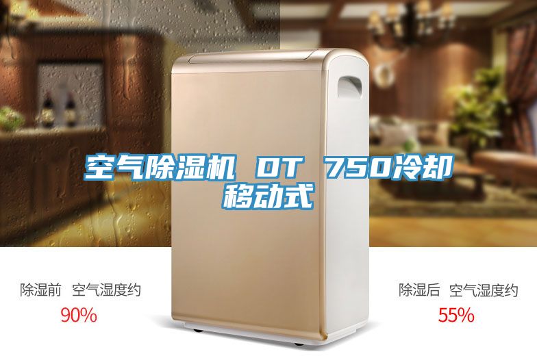 空氣除濕機(jī) DT 750冷卻移動(dòng)式