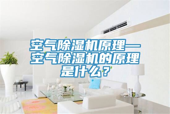 空氣除濕機(jī)原理—空氣除濕機(jī)的原理是什么？