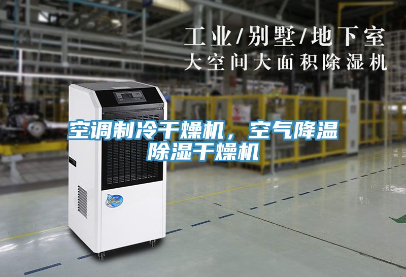 空調(diào)制冷干燥機(jī)，空氣降溫除濕干燥機(jī)