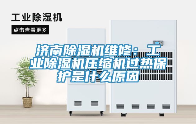 濟(jì)南除濕機(jī)維修：工業(yè)除濕機(jī)壓縮機(jī)過熱保護(hù)是什么原因
