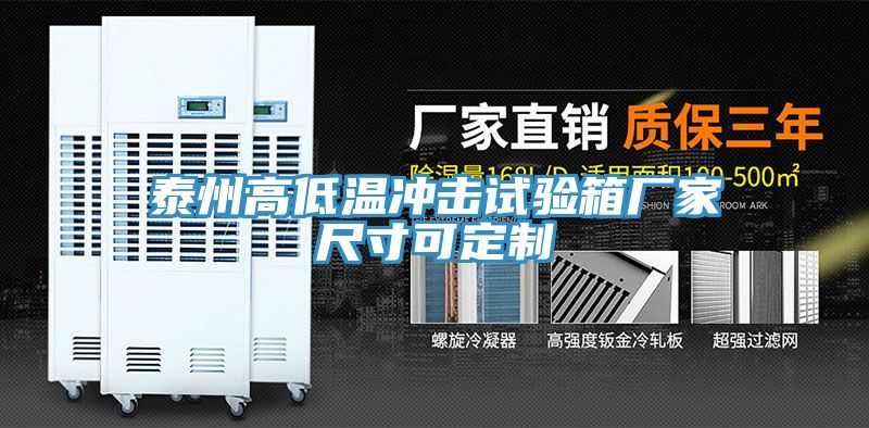 泰州高低溫沖擊試驗(yàn)箱廠家尺寸可定制