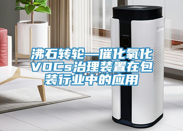沸石轉(zhuǎn)輪—催化氧化VOCs治理裝置在包裝行業(yè)中的應(yīng)用