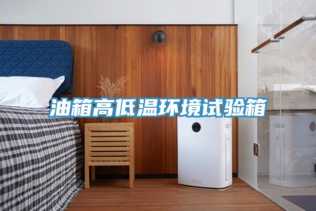 油箱高低溫環(huán)境試驗(yàn)箱