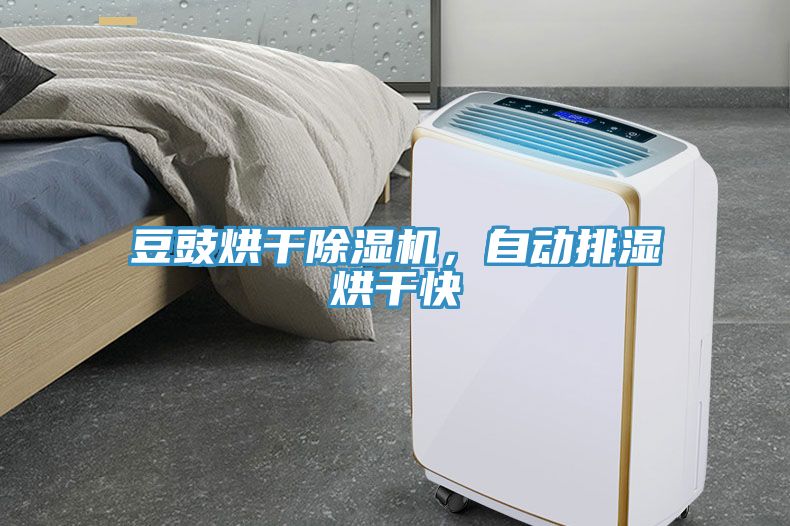 豆豉烘干除濕機(jī)，自動(dòng)排濕烘干快