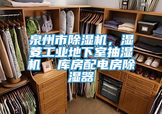 泉州市除濕機(jī)，濕菱工業(yè)地下室抽濕機(jī)  庫房配電房除濕器