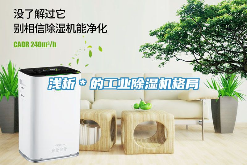 淺析＊的工業(yè)除濕機(jī)格局