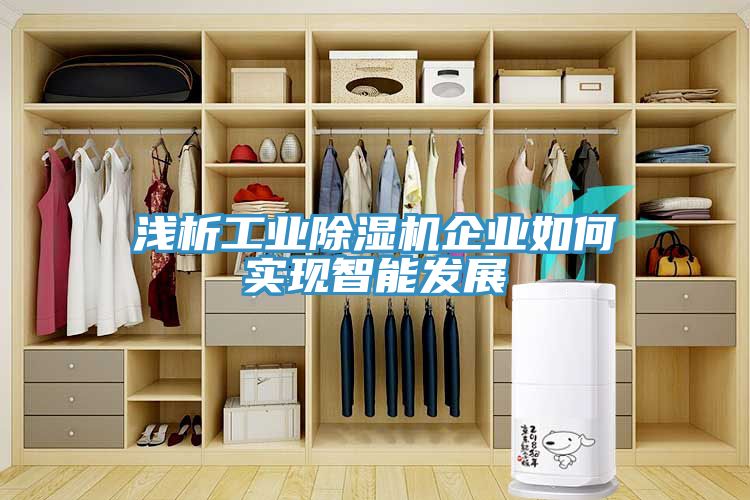 淺析工業(yè)除濕機(jī)企業(yè)如何實(shí)現(xiàn)智能發(fā)展