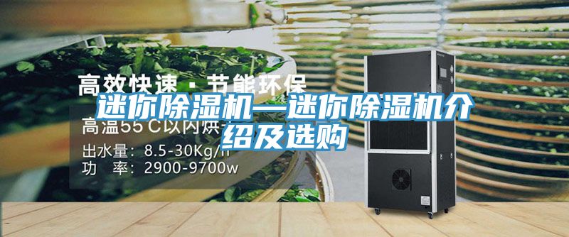迷你除濕機—迷你除濕機介紹及選購